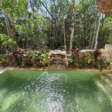 Little Oasis With Private Pool In The Jungle Apartment