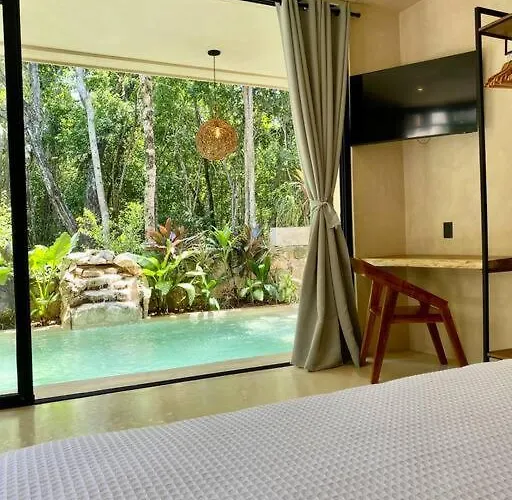 Apartment Little Oasis With Private Pool In The Jungle Chemuyil