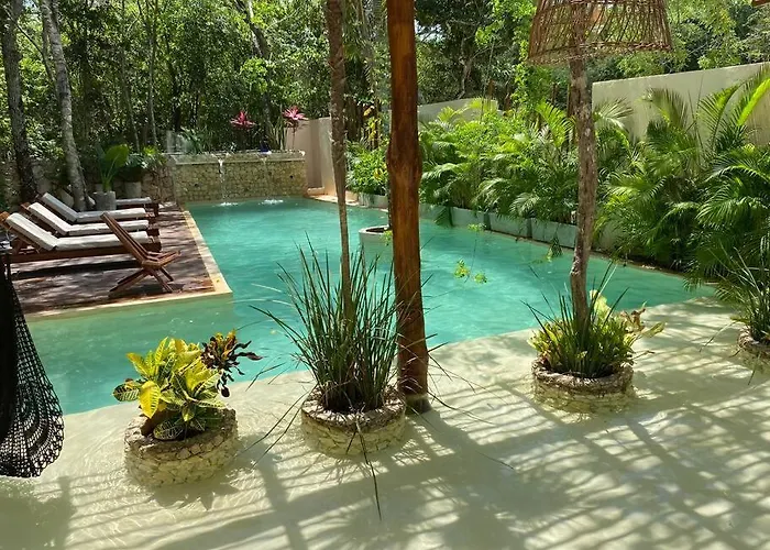 Little Oasis With Private Pool In The Jungle Apartment *