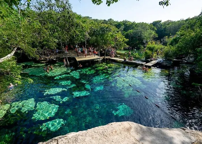 Little Oasis With Private Pool In The Jungle Apartment *